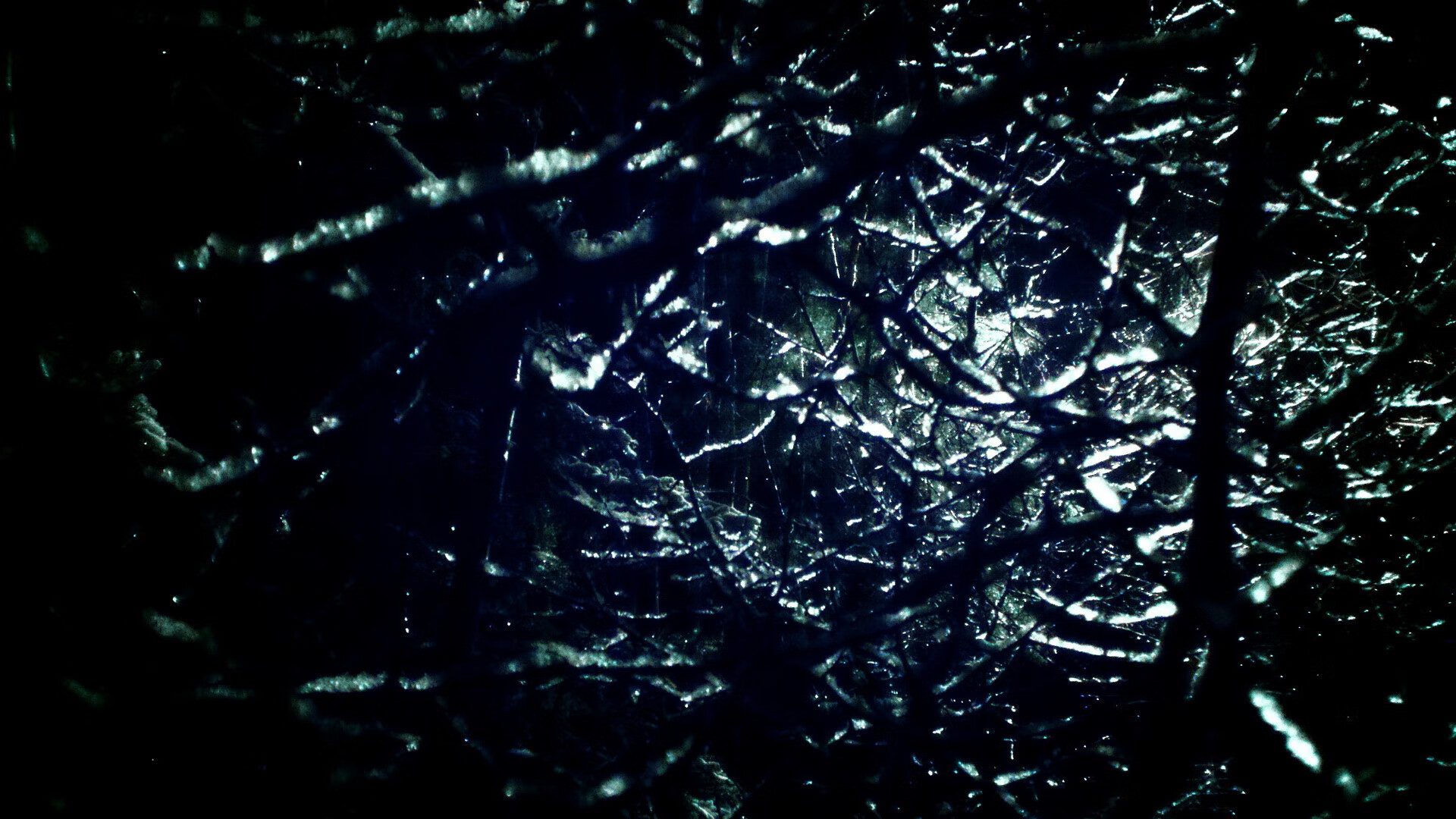 球迷投票:今年最令人震惊的比赛瞬间是哪一幕?,中国球迷投票