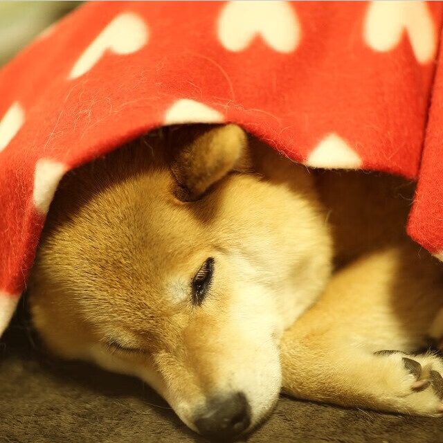 九游官网下载电脑版-塞维利亚锋线快速反应抓住得分良机，塞维利亚战术