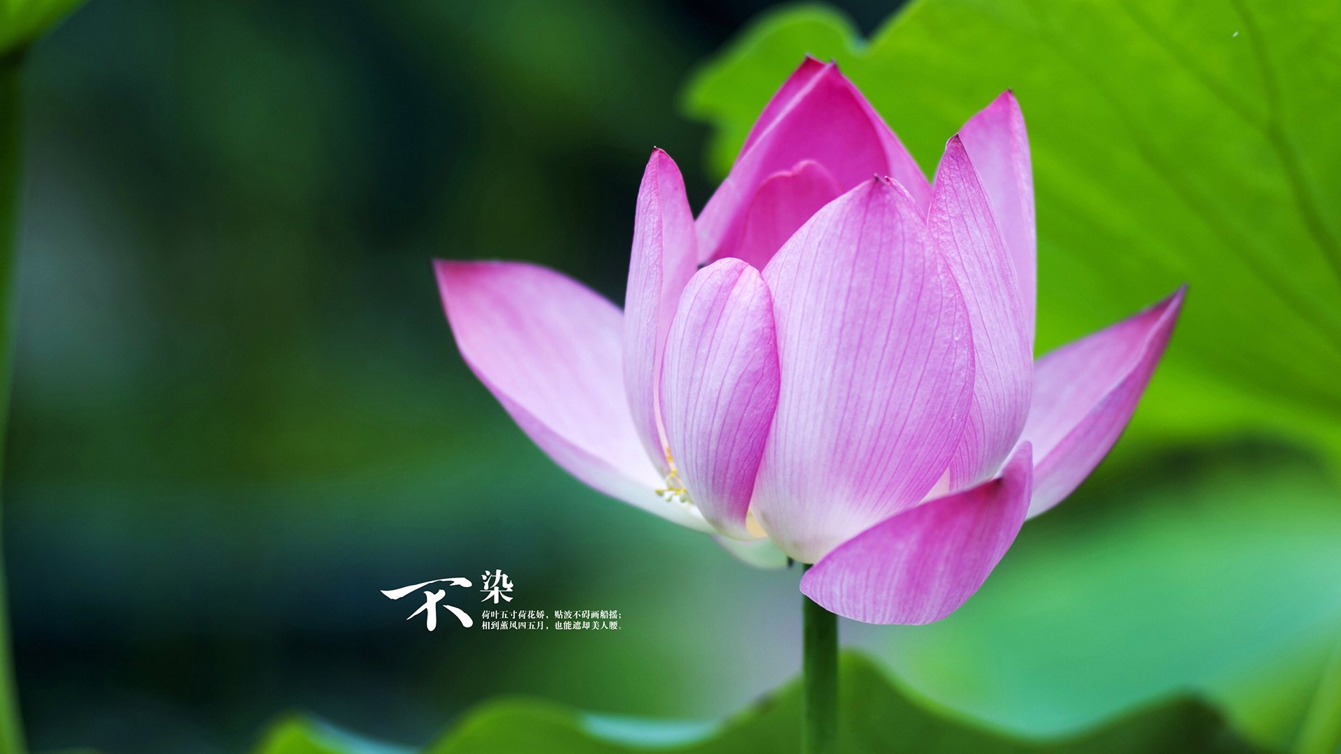 乔治中距离跳投稳定快船持续掌控比分，乔治 快船