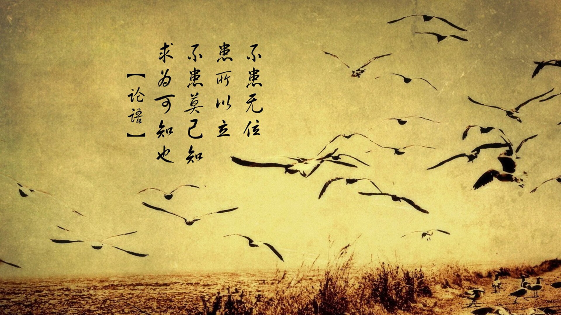 塞维利亚延续佳绩,争夺西甲欧战资格