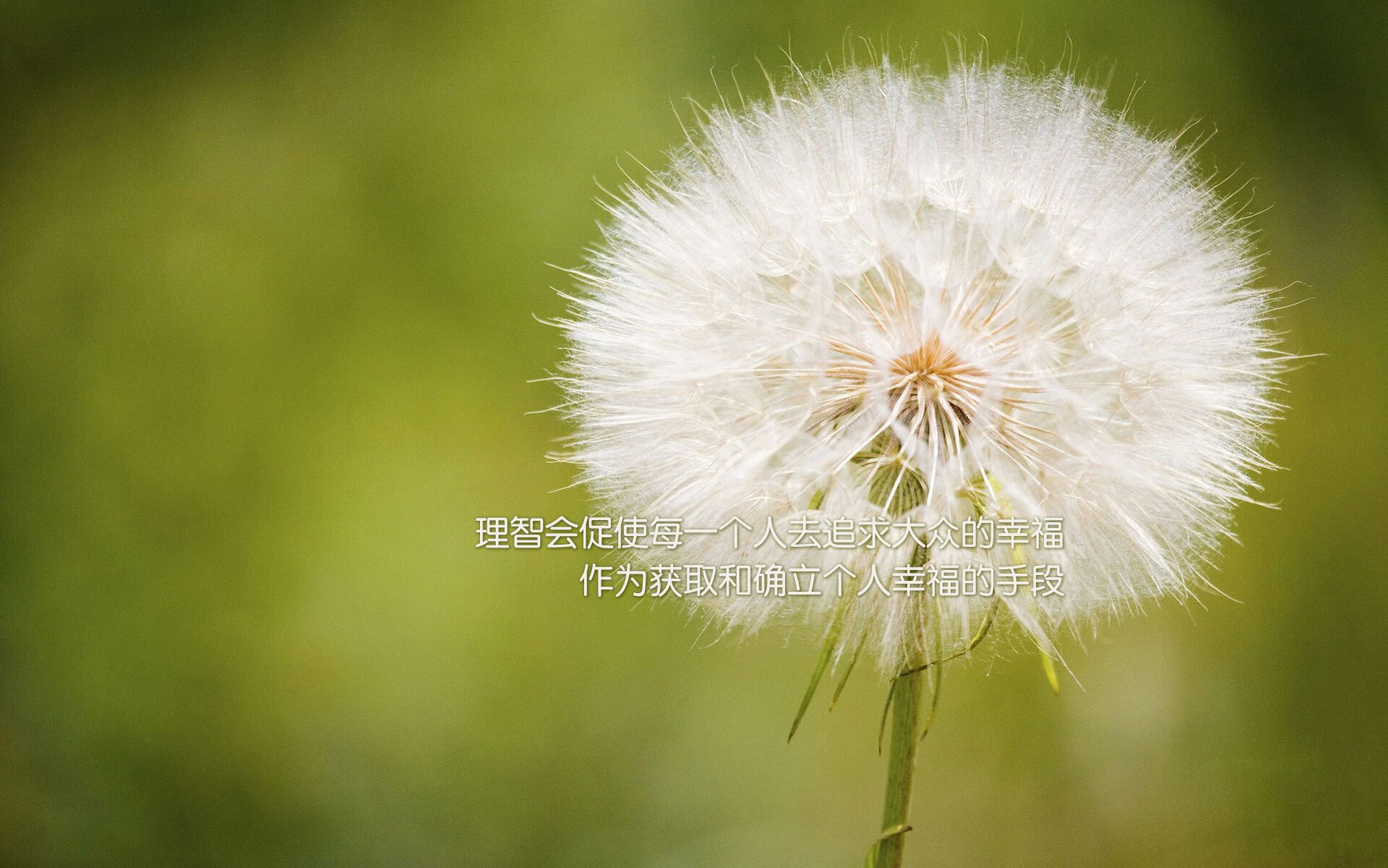 球员达成国家纪录,媒体展开专题报道,球员锦标赛2021赛程