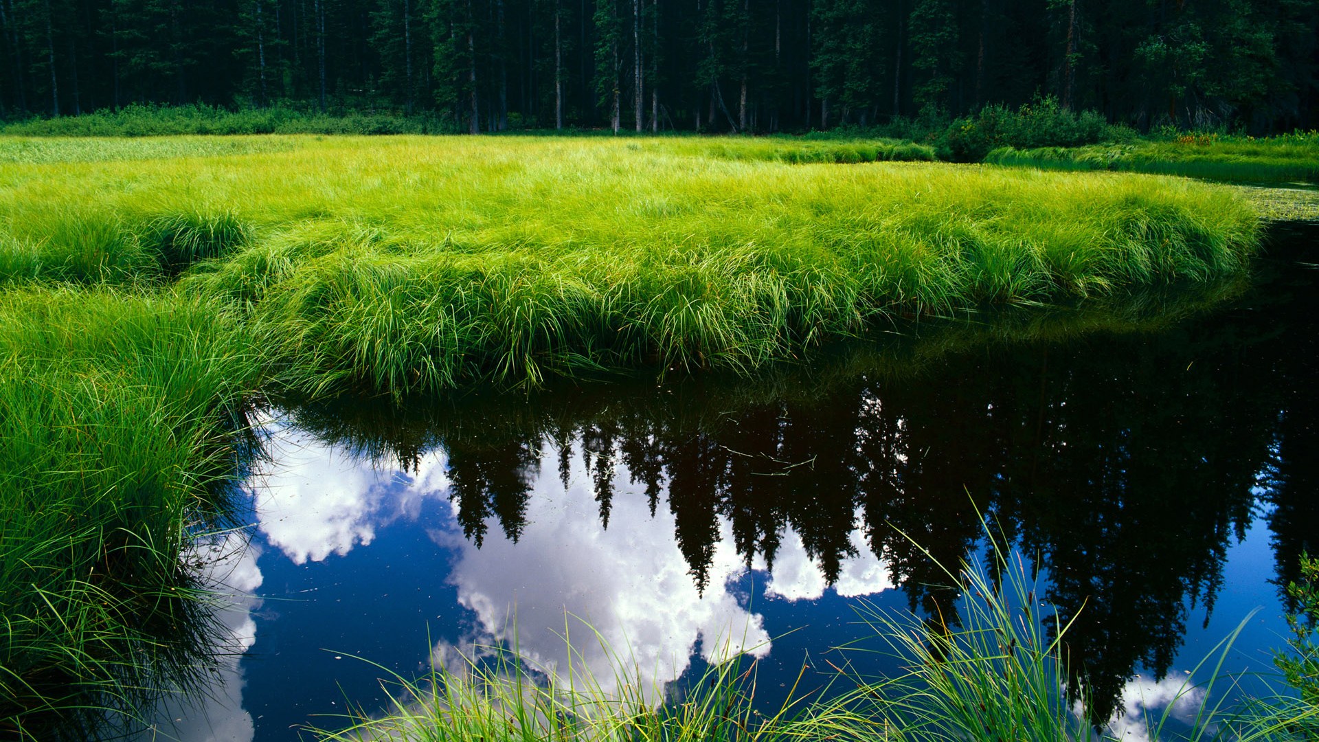 马克·阿特金森:南非队的“速度怪兽”,让防守方防不胜防